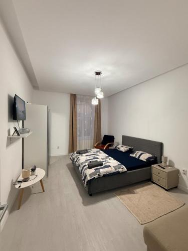 Old City Apartment | Cozy, centrally located apartment in the heart of Timisoara