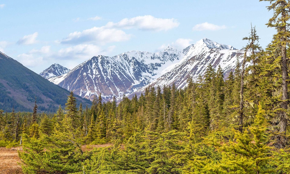 Alyeska Apartment | Cozy condo with mountain views, near skiing, shopping, dining & natural beauty