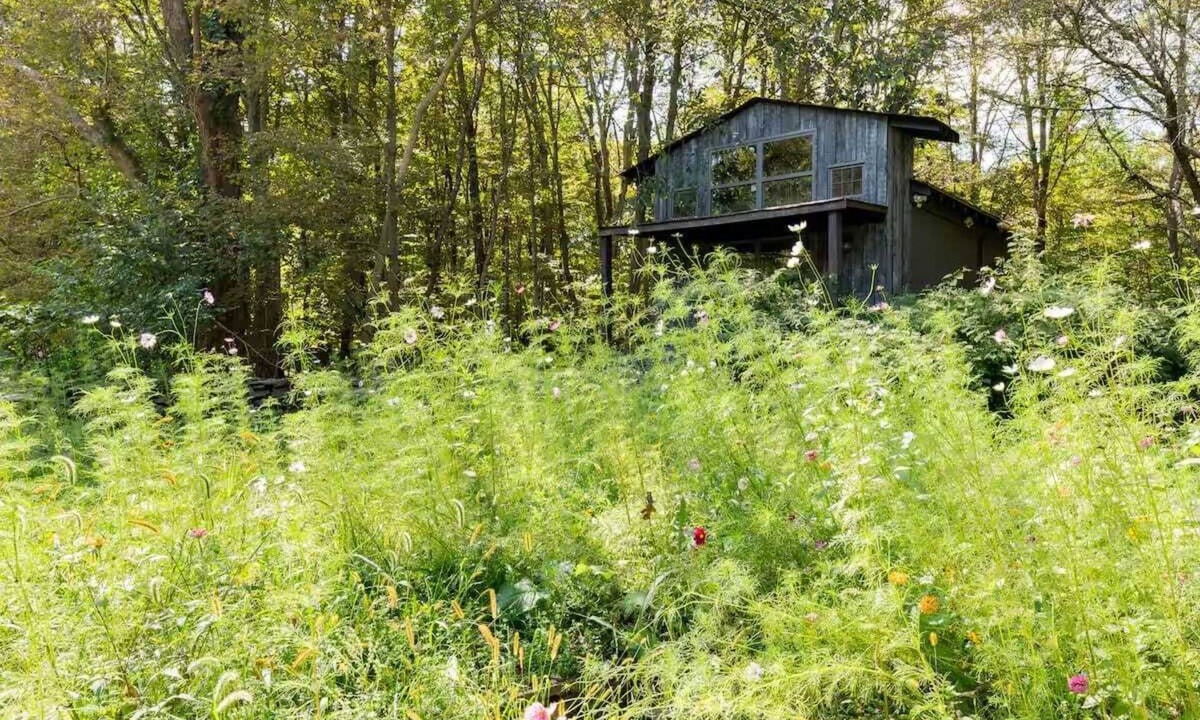 Mount Marion House | Cozy Cottage between Kingston & Woodstock: Outdoor Deck, Firepit, Skylights