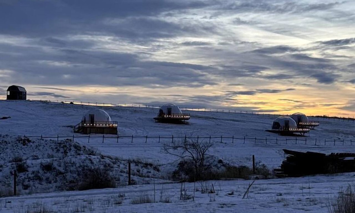 Redcliff RV Rental | Cozy Geodesic Glamping Dome on a Canadian Ranch with Horses, Perfect for a Weekend of Wellness