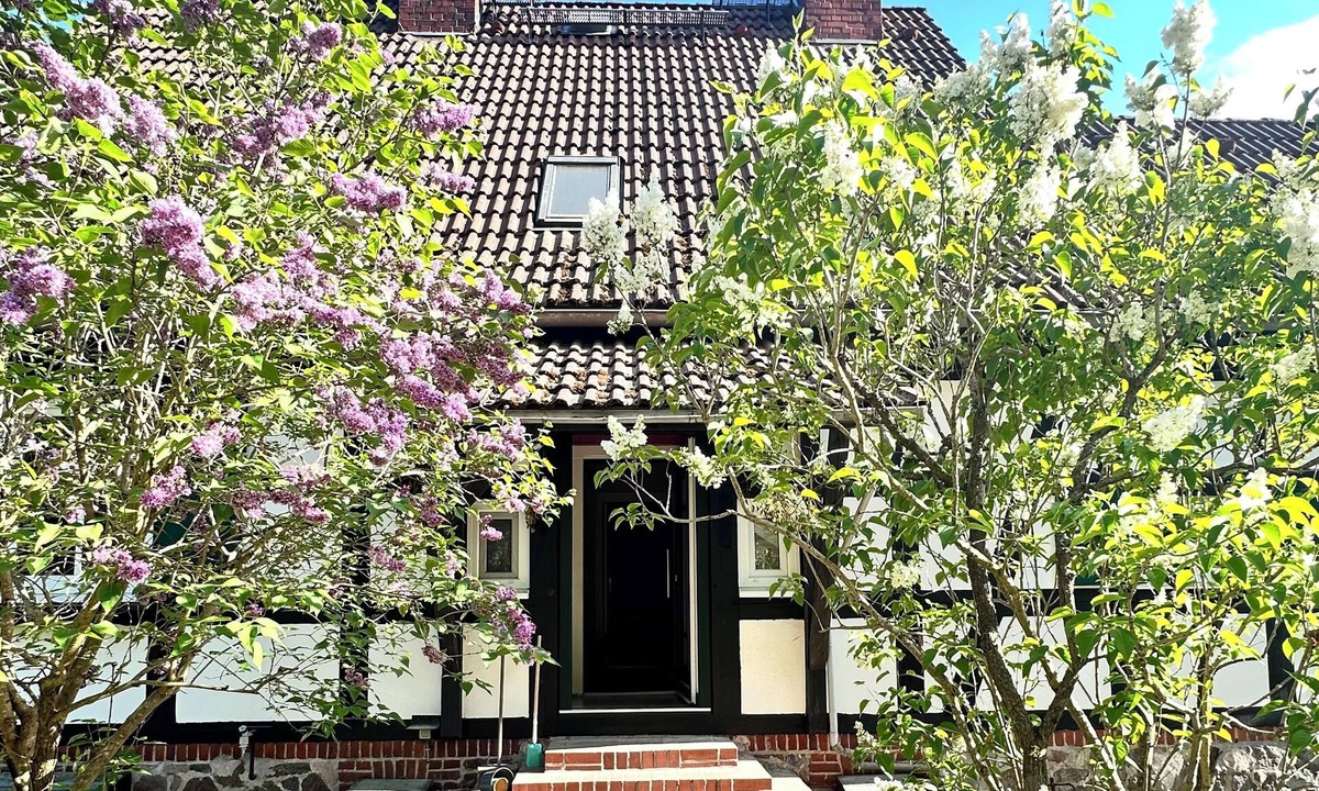 Gross Doelln House | Cozy half-timbered house on the Großväter See in the Uckermark