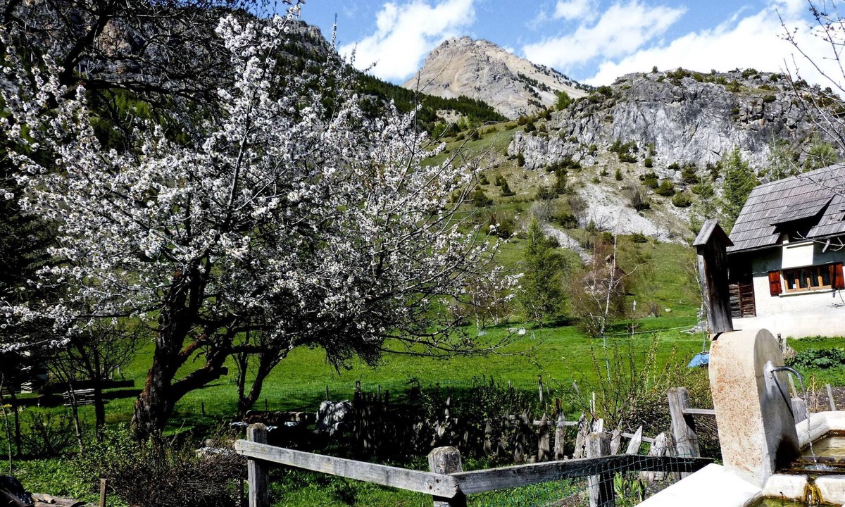 Bardonecchia Apartment | Cozy Nest In Bardonecchia