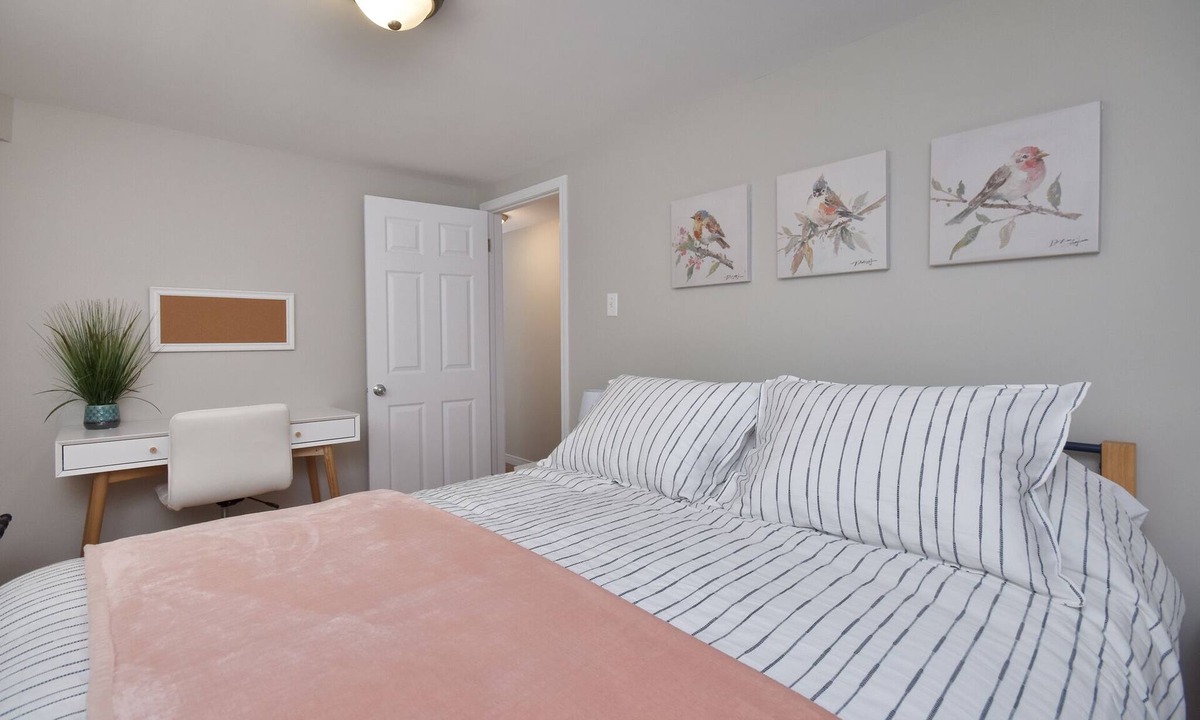 Dieppe Apartment | Cozy separate basement appartment in a safe and quiet neighborhood