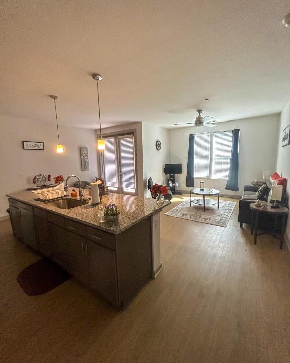 Shockoe Bottom Apartment | Cozy & Spacious Gem downtown Richmond, mins to VCU