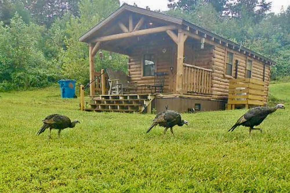 Kerr Cabin | Cozy Studio Cabin Surrounded by Nature for a Peaceful Getaway near Gallipolis, Ohio