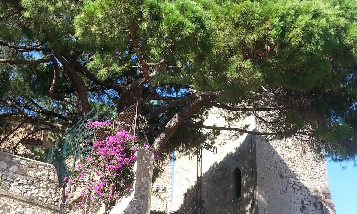 Le Suquet Apartment | Cozy studio Cannes center, "Le Suquet", air conditioning, secure parking nearby!