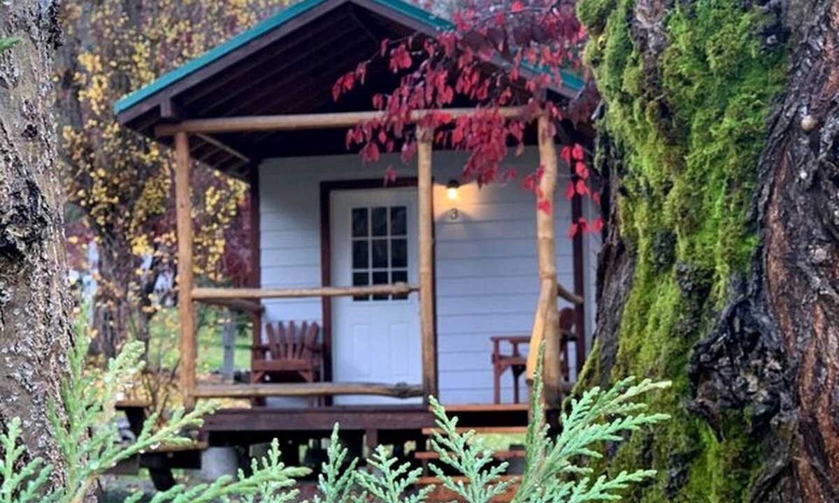 Idleyld Park Cabin | Cozy Studio-Style Cabin for a Glamping Getaway in Clearwater, Oregon
