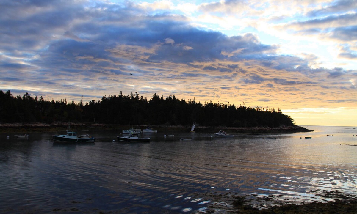 Birch Harbor Apartment | Cozy studio with spectacular views of Bunker's Harbor in Birch Harbor!