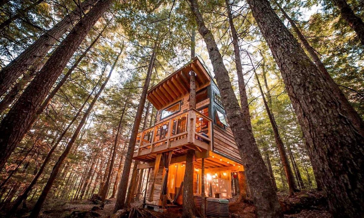 Hardwick RV Rental | Cozy Treehouse with Sauna in Hardwick, VT