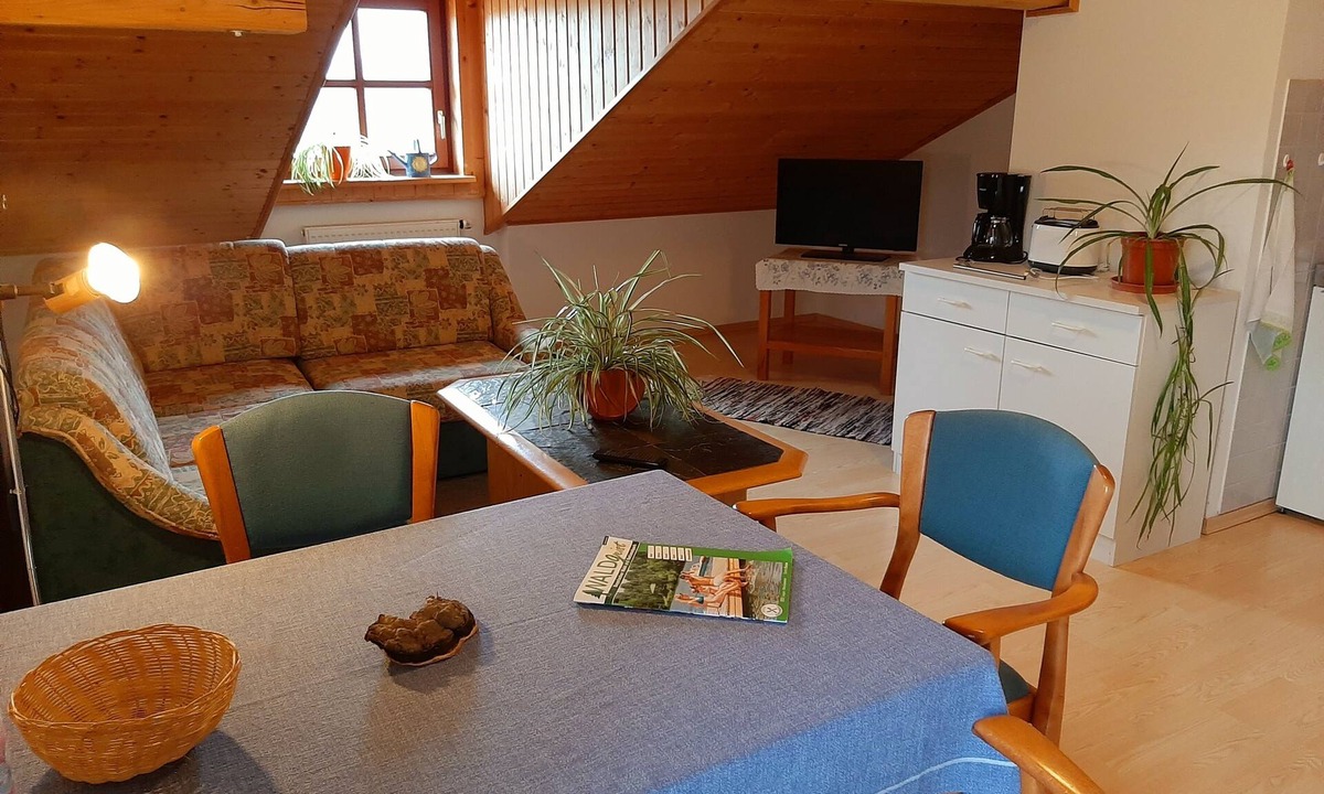 Hinterschmiding Apartment | Cozy vacation apartment 50sqm with balcony