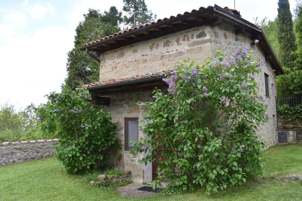Castelfranco di Sopra Ski Chalet | Cozy welcoming apartment for a lovely stay