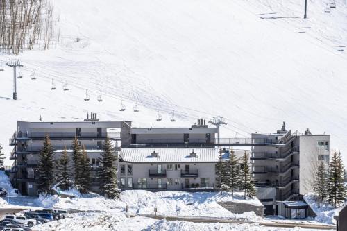 Mount Crested Butte Resort | Crested Butte Mountain Resort Properties by Vail Resorts