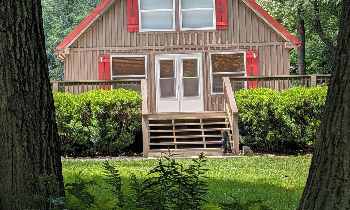 Schellsburg Cabin | Crimson Pine 2 Kings Firepit 11mi to ATV Park