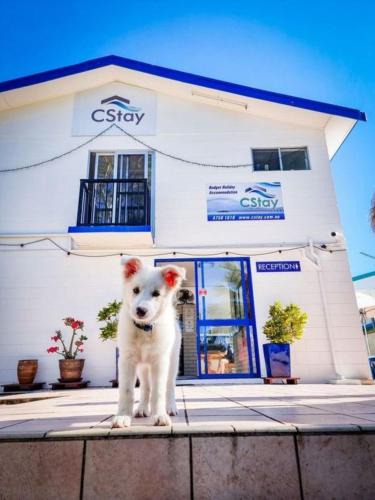 Picnic Bay Hostel | CStay