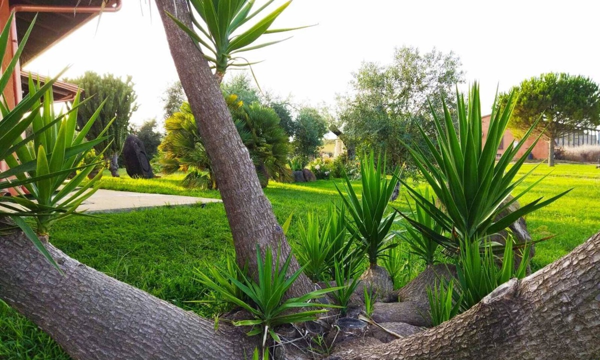 Oristano Bed & Breakfast | CuccuruAio' B&B