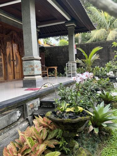 Penestanan House | Cucu House