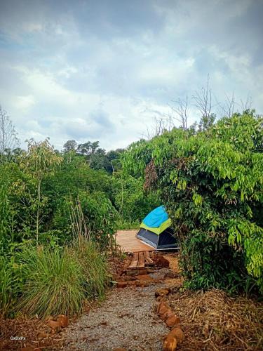 Puerto Iguazu Resort | Curiango Birding Camp