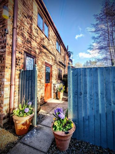 Ruthin Apartment | Curlew's Nest
