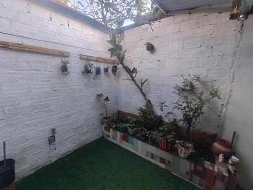 Moyobamba House | Curuwasi