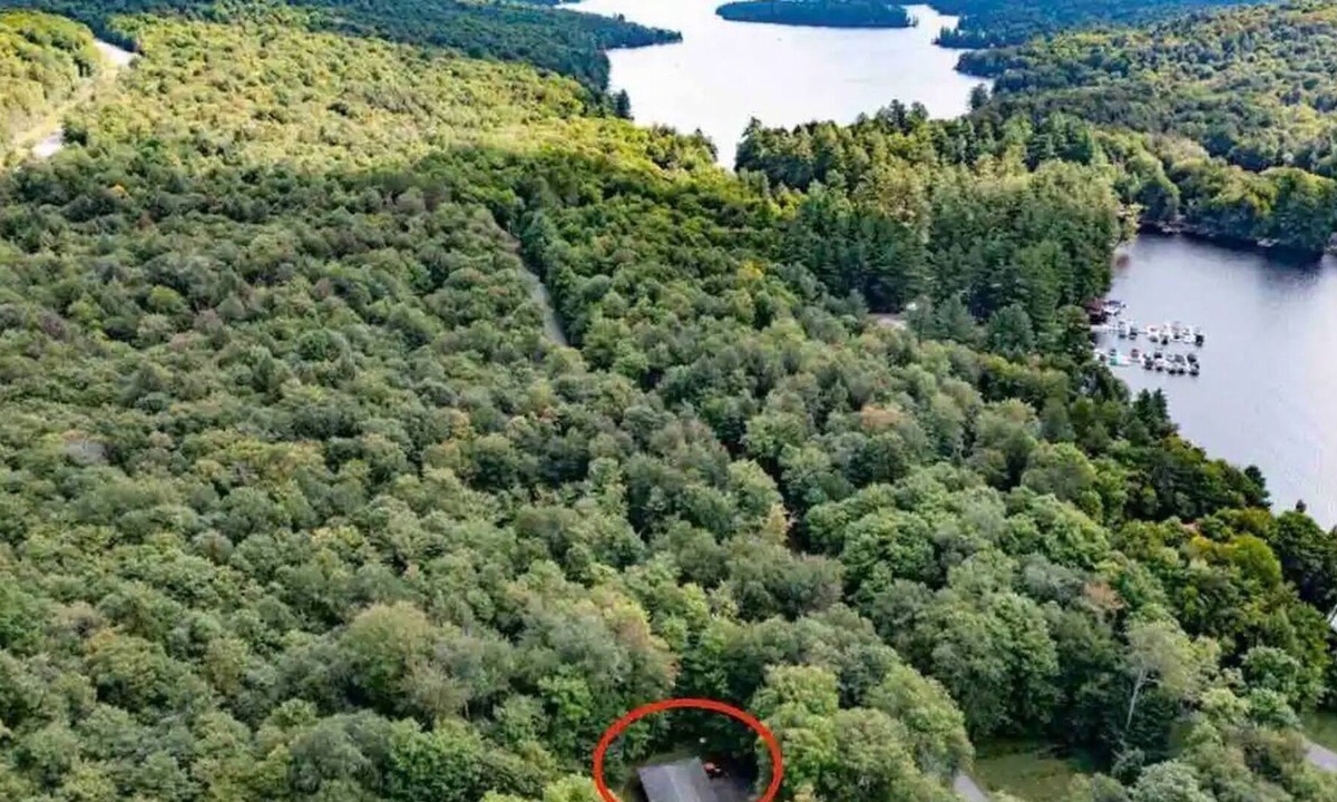 Town of Webb Ski Chalet | Custom log home in the Adirondack Mountains "The Ducks Nest"