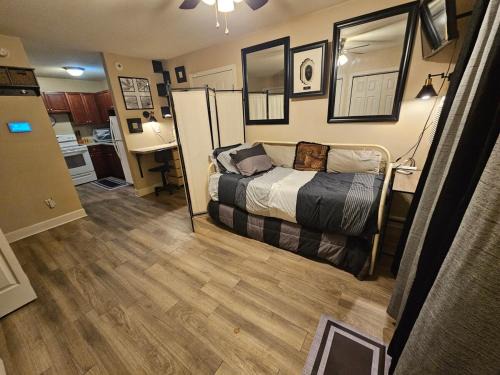 Tallahassee Apartment | Cute Comfy Studio Prime Location