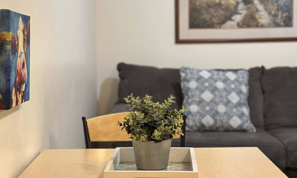 Downtown Pittsburgh Apartment | Cute Downtown APT Quick Safe Walk to PPG Arena