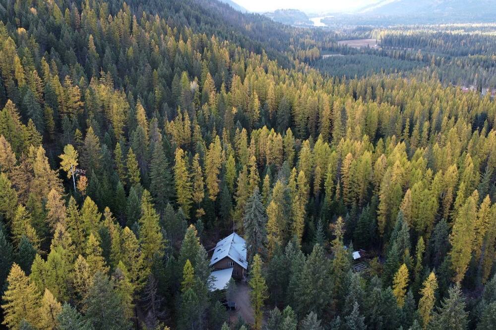 Clark Fork Cabin | Cute Tiny House in the Woods for a Peaceful Getaway in Nature near Clark Fork, Idaho