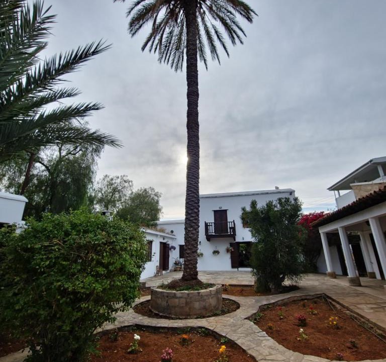 Zeytinlik House | Cyprus Village House