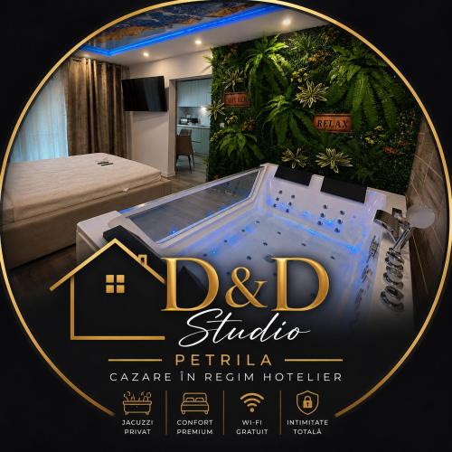 Petrila Apartment | D&D Studio