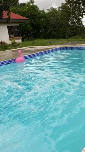 San Jose Bed & Breakfast | daBene - Bed & Breakfast