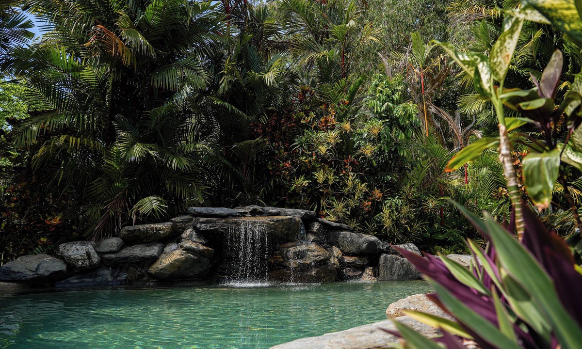 Wonga Beach Other | Daintree Beach Resort