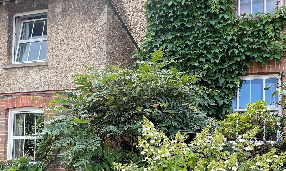 Forest Row Cottage | Damson Cottage