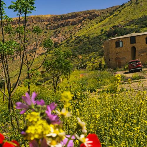 Dana Hotel | Dana horizon hotel