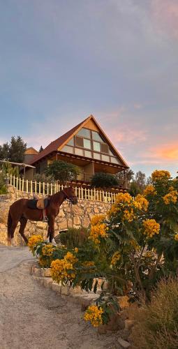 Dana Hotel | Dana luxury huts