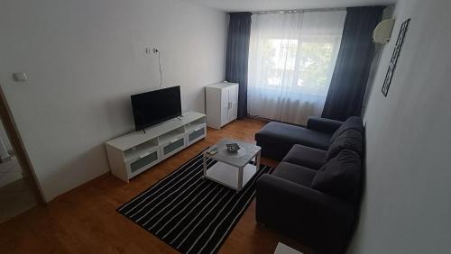 Pitesti Apartment | Dana