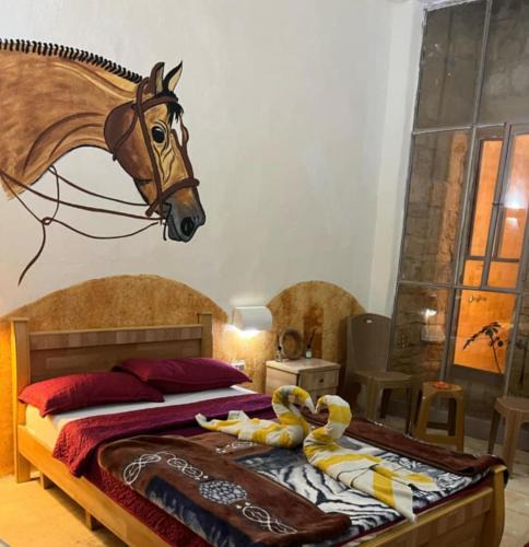 Dana Hotel | Dana star
