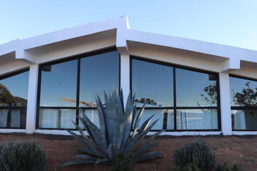 Valle de Guadalupe Other | DaNik Valle