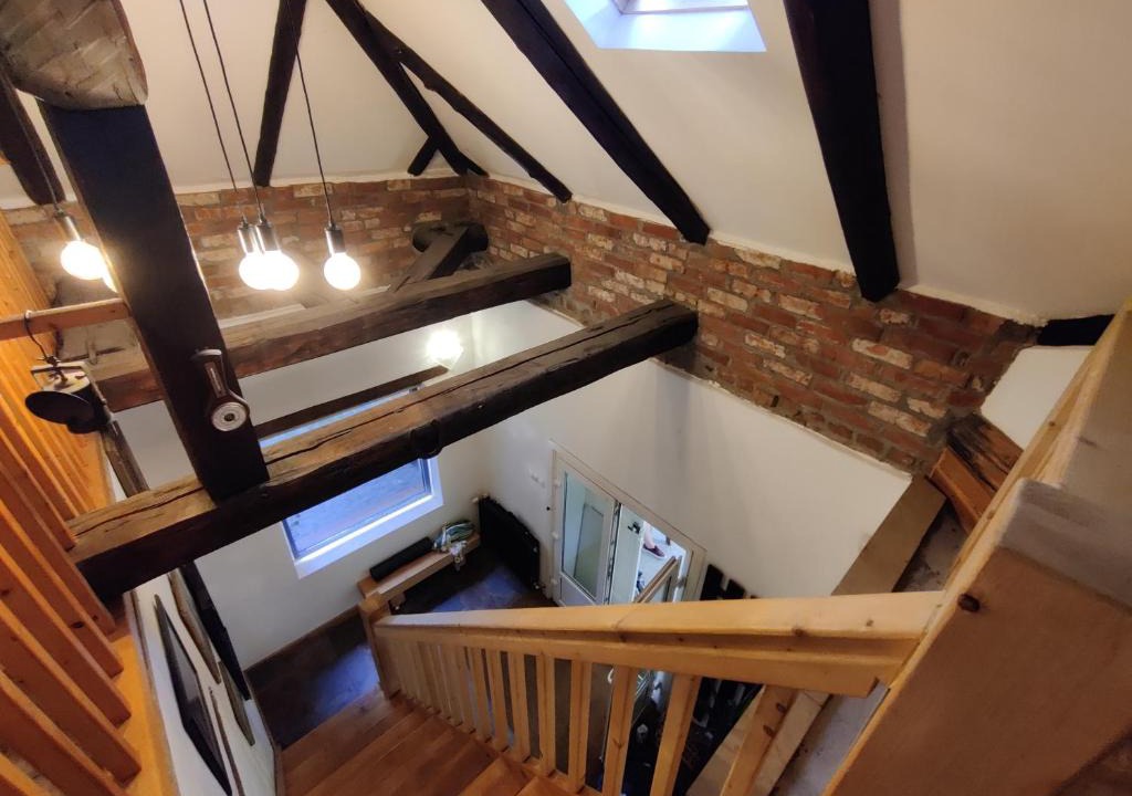 Baia Mare Villa | Dans house