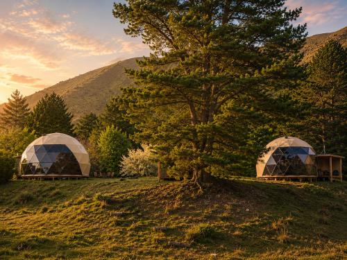 Danseys Pass House | Danseys Pass Lavender Farm Domes