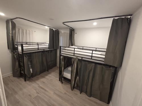 Hallandale Beach Hostel | Daphne's Tropical Oasis Female Only Hostel