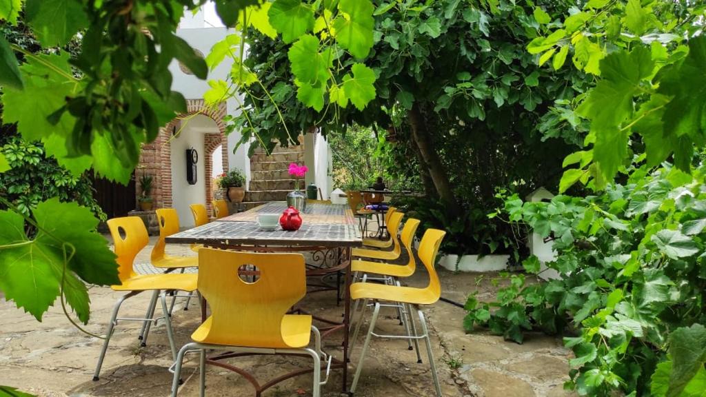 Bab Taza Hotel | Dar Wadada