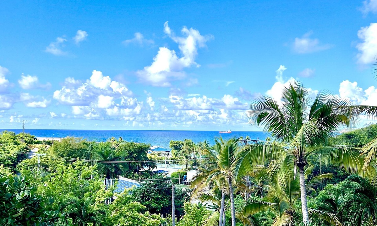 Estate Frenchman Bay Apartment | Darling Palms Tree House: Beachside Studio Oasis