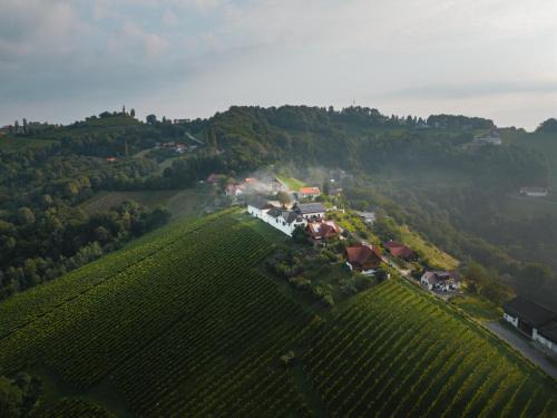 Fresing House | Das Weinkitz