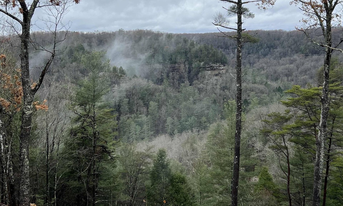 Rogers Cabin | Date Night Cabin - Romantic, Sauna, Views, Hot Tub