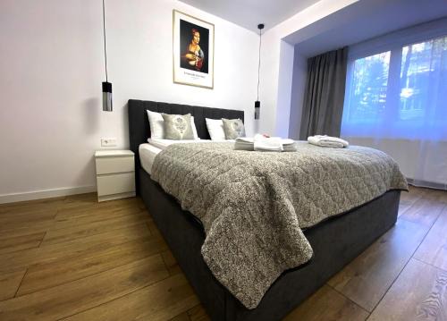 Tirgu Mures Apartment | DaVinci Apartment with Self Check-In