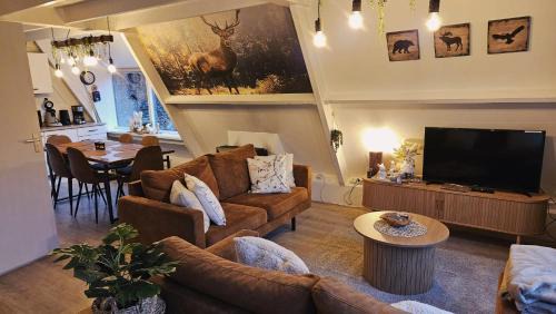 Bohon Ski Chalet | de bosdriehoek II