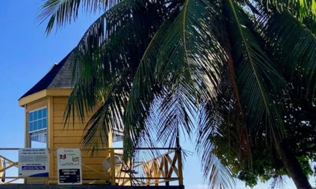 Atlantic Shores Cottage | De Loft Studio - Surf, Work, Chill