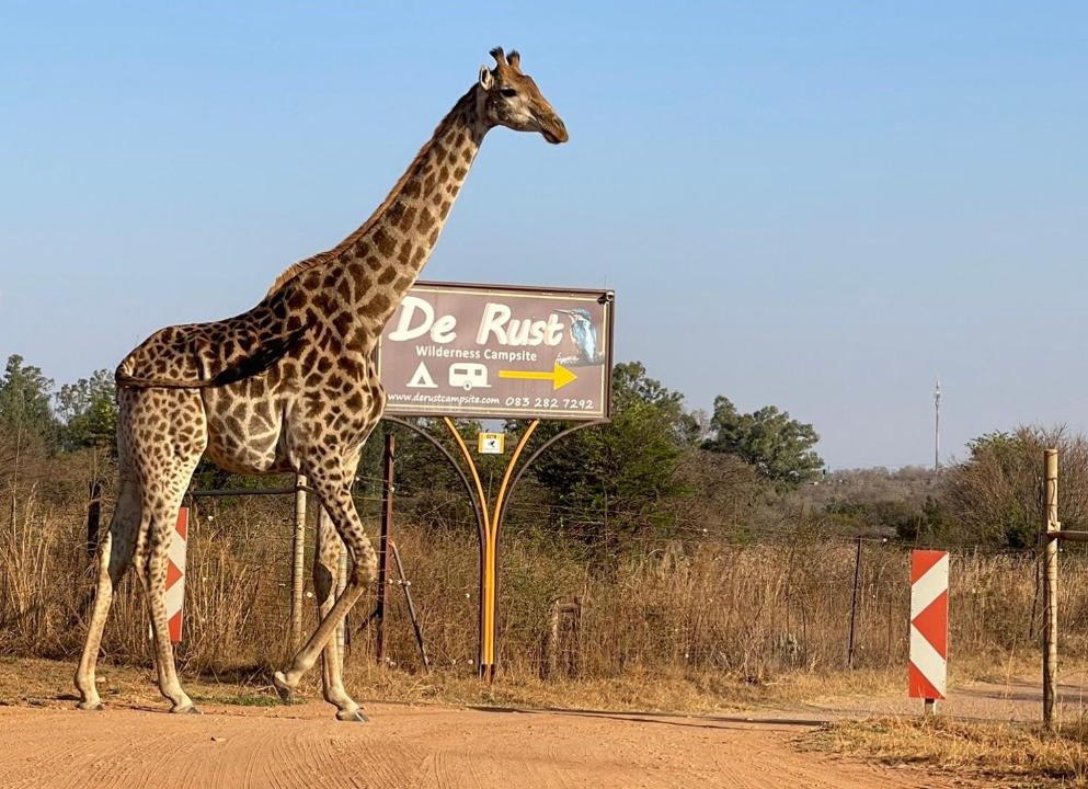 Hammanskraal Cabin | De Rust Campsite