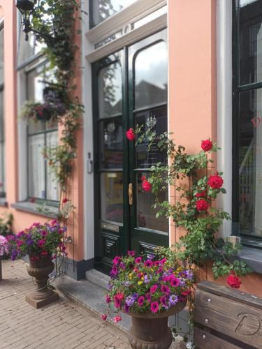 Kampen Bed & Breakfast | De Zevenster centrum