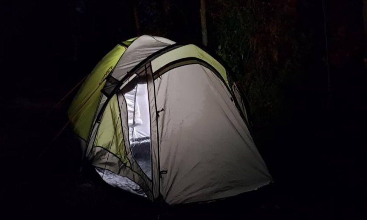 Shimla RV Rental | Delicate camp B
